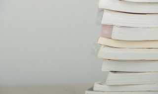 昆虫记老象虫主要内容 昆虫记老象虫主要内容概括