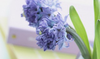 踔厉风发的意思（厉风啥意思）