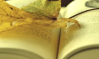 乏的组词（乏的组词是什么）