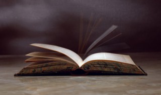 视若无睹什么意思（视若无睹什么意思造句）