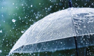 细雨绵绵的诗句 形容秋天细雨绵绵的诗句