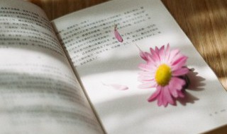 转瞬即逝的反义词是什么（转瞬即逝的反义词是什么词）