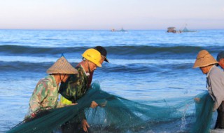 水中青苔怎么快速清除(水中青苔怎么快速清除干净)