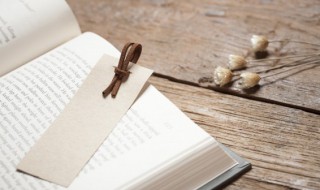 积甲如山意思 积甲如出是什么意思