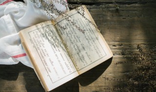 返哺之恩意思（哺育之恩与反哺之义）