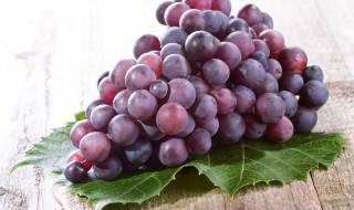 提子储存方法（提子储存方法有哪些）