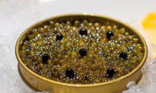 鱼子酱的储存方法 鱼子酱的储存方法视频