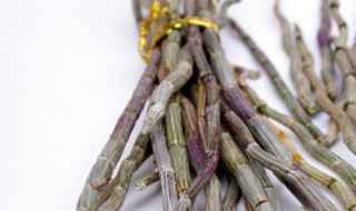 铁皮石斛储存方法 铁皮石斛储存方法图片