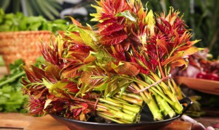 香春的储存方法（香菜怎么保存）