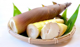 春笋储存方法（春笋储藏方法）