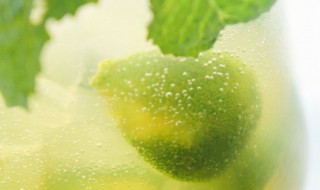 自制青梅绿茶的功效与作用 自制青梅绿茶的功效与作用是什么