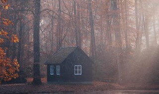 黼蔀黻纪意思（黼蔀黻纪同义词）