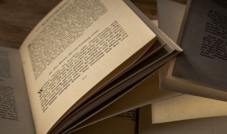 罪人不孥意思 罪人不孥的意思