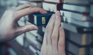 左右采获意思 左右采获意思解释