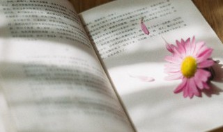 养虎贻患的遗什么意思 养虎为患是什么意思