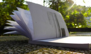 效颦学步意思(效颦学步成语)