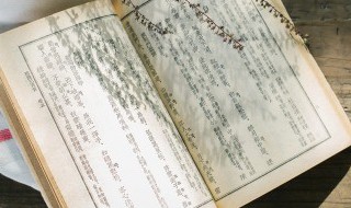 大而化之是贬义词（大而化之是贬义词嘛）