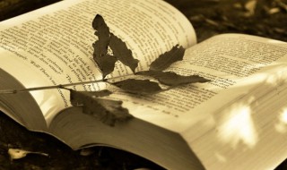 意在笔前意思（意在笔前的意思）