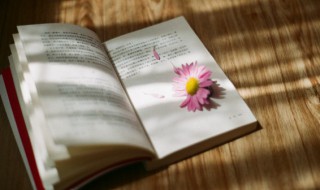 借镜观形意思（借镜观形 下一句）