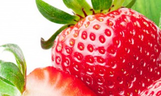 草莓的形状和特征怎么描述 草莓的形状和特征怎么描述的