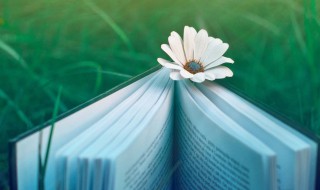 情话最暖心的英语短句（情话最暖心的英语短句子）