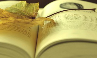 最旺财旺运的名字 最旺财旺运的名字男