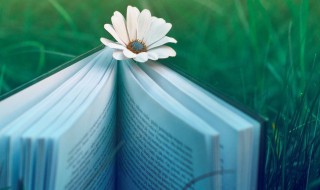 关于新年的优美段落（关于新年的优美段落结尾）