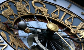 各种属相的幸运花 各种属相的幸运花是什么花