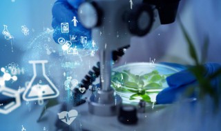 研究目的意义背景这三这有什么区别 什么是研究背景,研究目的,研究意义