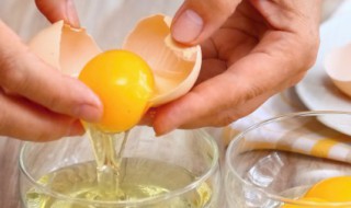 各种蛋的营养价值排名 各种蛋的营养价值排名图片