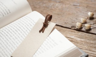 如何才能提高阅读理解能力（怎么提高阅读的理解能力）