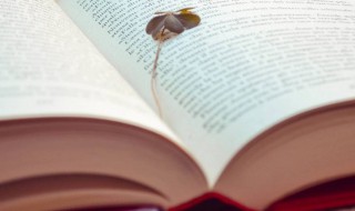 哄女孩子开心的方法（异地哄女孩子开心的方法）