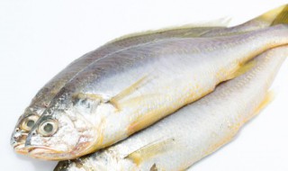 黄花鱼的简单做法(黄花鱼的简单做法视频)