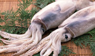 鱿鱼热量高不高 鱿鱼热量高不高海鲜