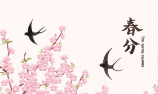 春天的美好寓意（春天的美好寓意有哪些）