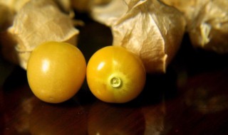 菇茑吃多了会上火吗 菇茑吃多了会怎么样