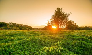 活出的人生美文（活出的人生美文摘抄）