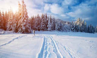 梦见雪地是什么征兆 梦见雪地是什么征兆 女性