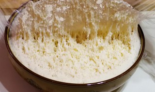 用酵母粉如何发面(用酵母粉如何发面不起发)