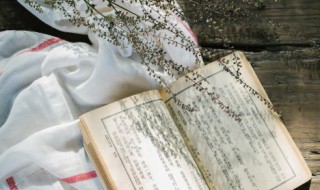 量大福也大机深祸亦深是什么意思 量大福也大 机深祸亦深