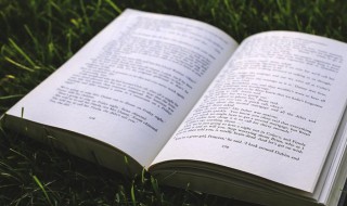 不登高山不显平地是什么意思（不登高山不显平地是什么意思解释）