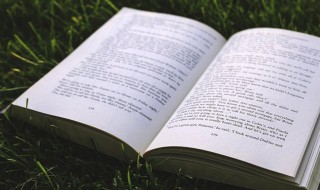 正正之旗堂堂之陈是什么意思 正正堂堂的意思