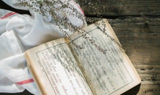 留得青山在依旧有柴烧是什么意思（留得青山在,哪怕没柴烧）