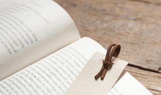 蚊子遭扇打只为嘴伤人是什么意思（蚊子遭扇打只为嘴伤人的意思）