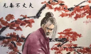 量小非君子无毒不丈夫是什么意思(量小非君子无毒不丈夫谁说的)