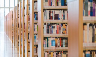 好人不长寿祸害一千年是什么意思(好人不长寿祸害遗千年)