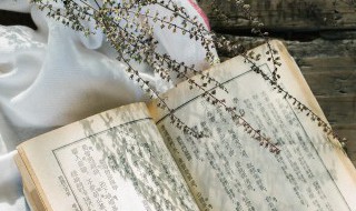 求生不得求死不能是什么意思（不求生解释）