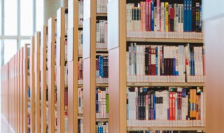 猪八戒人物简介 猪八戒人物简介性格特点