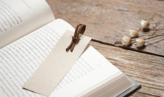 上瘾小说讲的什么 上瘾小说讲的什么故事