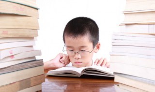 春日宴小说讲的什么（春日宴小说讲的什么内容）